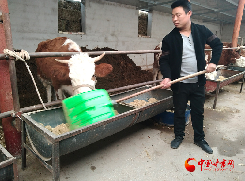小伙在新疆“找矿”却因喂牛走红小伙在新疆找矿却因喂牛走红