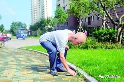 老人在小区捡垃圾犯法吗老人在小区捡垃圾是否犯法？解读相关法律规定与实际操作建议
